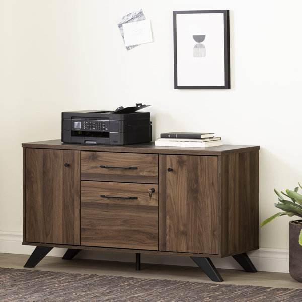 Mercury Row® Payeur 47.75'' Wide 2 Drawer Filing Credenza & Reviews